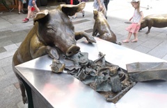 Pig cleaning up